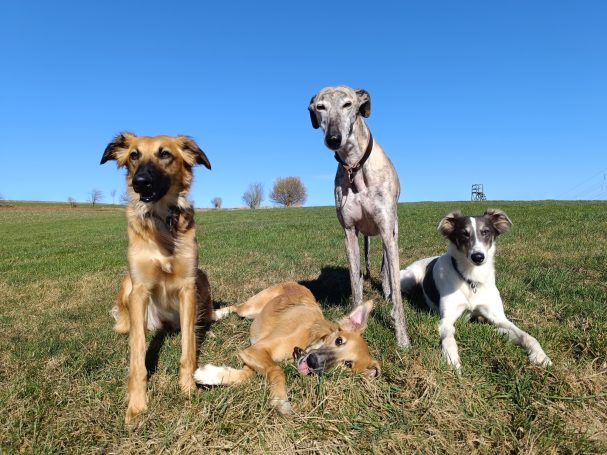 Slope Mountain Ach Hildegard hat nicht genug Geduld für die Fotografin :)