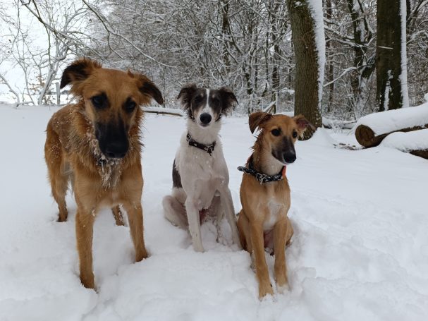 Winter im Bergischen Land